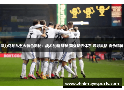 魔力鸟球队五大特色揭秘：战术创新 球员激励 培养体系 领导风格 竞争精神