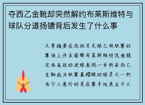 夺西乙金靴却突然解约布莱斯维特与球队分道扬镳背后发生了什么事 夺西乙金靴却突然解约布莱斯维特与球队分道扬镳背后发生了什么事